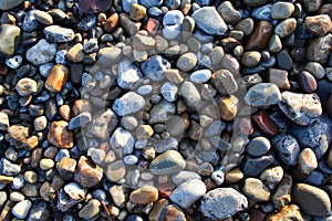 Beach pebbles in sunlight