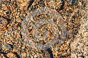 Beach pebbles under clear water at sunny day