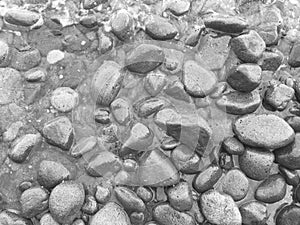 Beach pebbles in the water. Black and white seaside photo background with sea stones