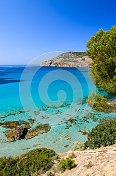 Beach pine trees turquoise sea bay mountains