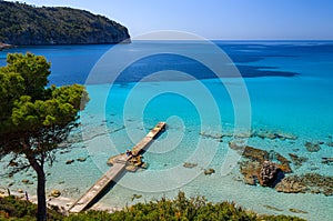 Beach pine trees turquoise sea bay mountains wide view