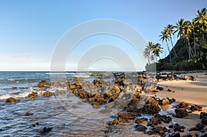 Beach of Pipa, Natal (Brazil) photo