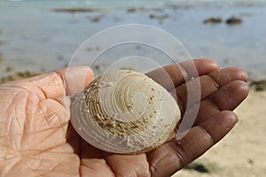 Beach place river ocean travel trip water sky seashells sand