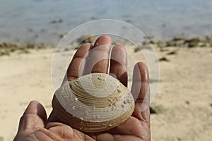 Beach place river ocean travel trip water sky seashells sand