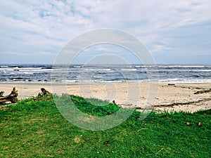 Beach plants wave whater blue sky