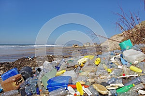 Beach plastics pollution