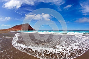 Beach Playa de la Tejita in Tenerife photo