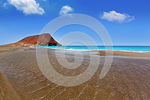 Beach Playa de la Tejita in Tenerife photo