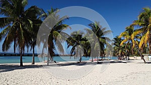 On the beach Playa Giron, Cuba.