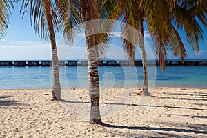 On the beach Playa Giron, Cuba.