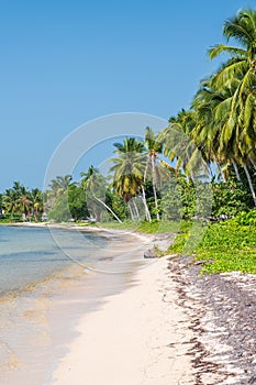 The beach at Playa Larga on the Zapata Peninsula in Cuba