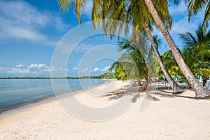 The beach at Playa Larga on the Zapata Peninsula in Cuba