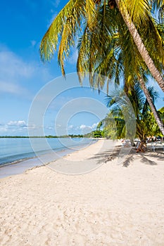 The beach at Playa Larga on the Zapata Peninsula in Cuba