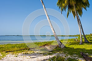 The beach at Playa Larga on the Zapata Peninsula in Cuba