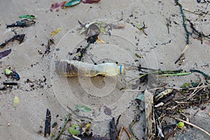 Beach pollution. Plastic bottles and other trash on sea beach. Ecological concept. earth day concept.globe pollution. Garbage on