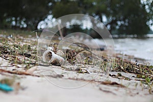 Beach pollution. Plastic bottles and other trash on sea beach. Ecological concept. earth day concept.globe pollution. Garbage on