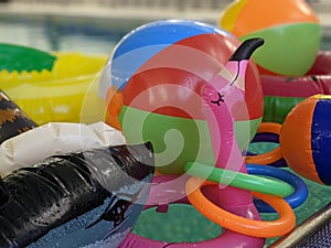 Beach and pool inflatables floating in the swimming pool water close up