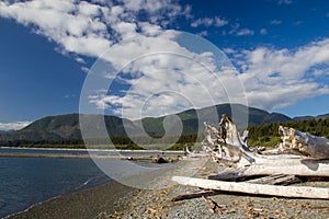 Beach in Port Renfrew