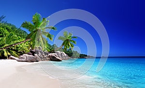 Beach at Praslin island photo