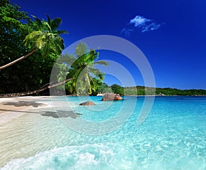 Beach at Praslin island photo