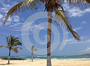 Beach Puerto Villamil