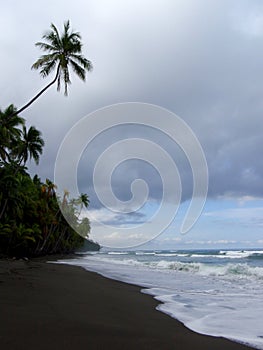 Beach in Punta Banco photo