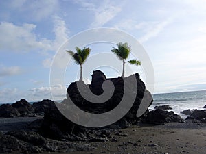 Beach in Punta Banco photo