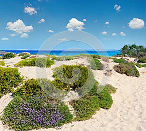 Beach Punta della Suina, Salento, Italy