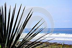 Beach Punta Islita Nicoya Guanacaste Costa Rica