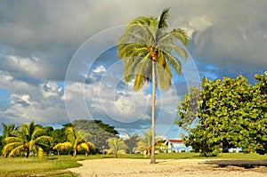 Beach Rancho Luna, Cienfuegos in Cuba photo
