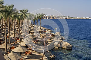 Beach on the red sea