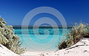 Beach and Reef Western Australia