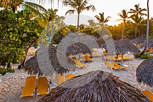 The Beach in Republica Dominicana