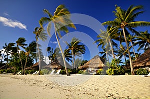 Beach resort with bungalows in Bora Bora