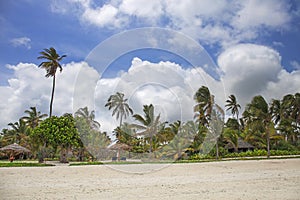 Beach resort with palm trees, Zanzibar island, Tanzania