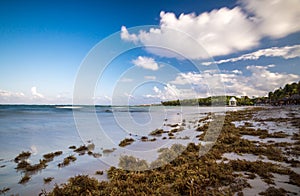 Beach at riviera maya near Cancun and Tulum in Mexico on a sunny