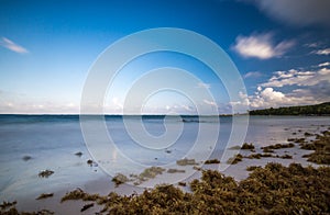 Beach at riviera maya near Cancun and Tulum in Mexico on a sunny