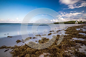 Beach at riviera maya near Cancun and Tulum in Mexico on a sunny