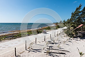 Beach road in Mahahual, Mexico