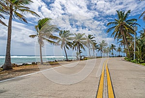 Beach road with palm trees in San Andres Island, Colombia