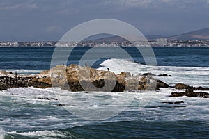 Beach at Robben Island South Africa