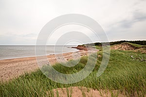 The beach at Robinsons Island on PEI