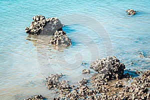 Beach rock horizon scenics Calm sea blue water ocean  blue sky