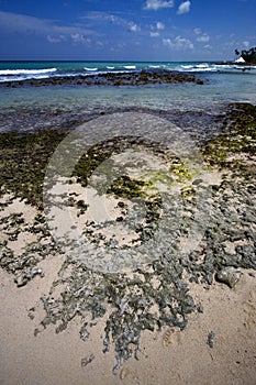 Beach rock in republica dominicana photo