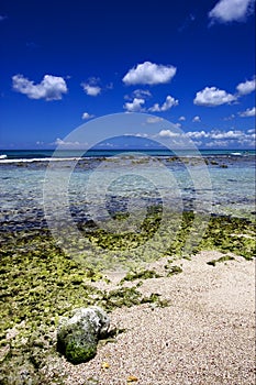 Beach rock and stone in republica dominicana photo