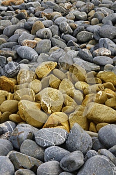 Beach rocks