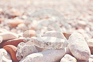 Tommy Thompson Park - Beach Rocks photo