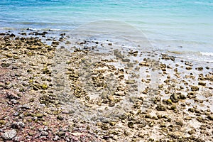 Beach with rocks