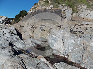 Beach rocks and geological formations