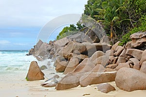 Beach with rocks and palm trees on the island Praslin